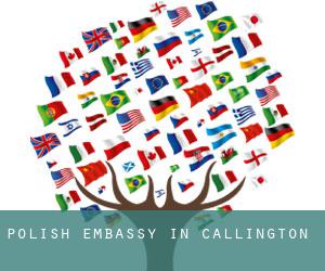 Polish Embassy in Callington